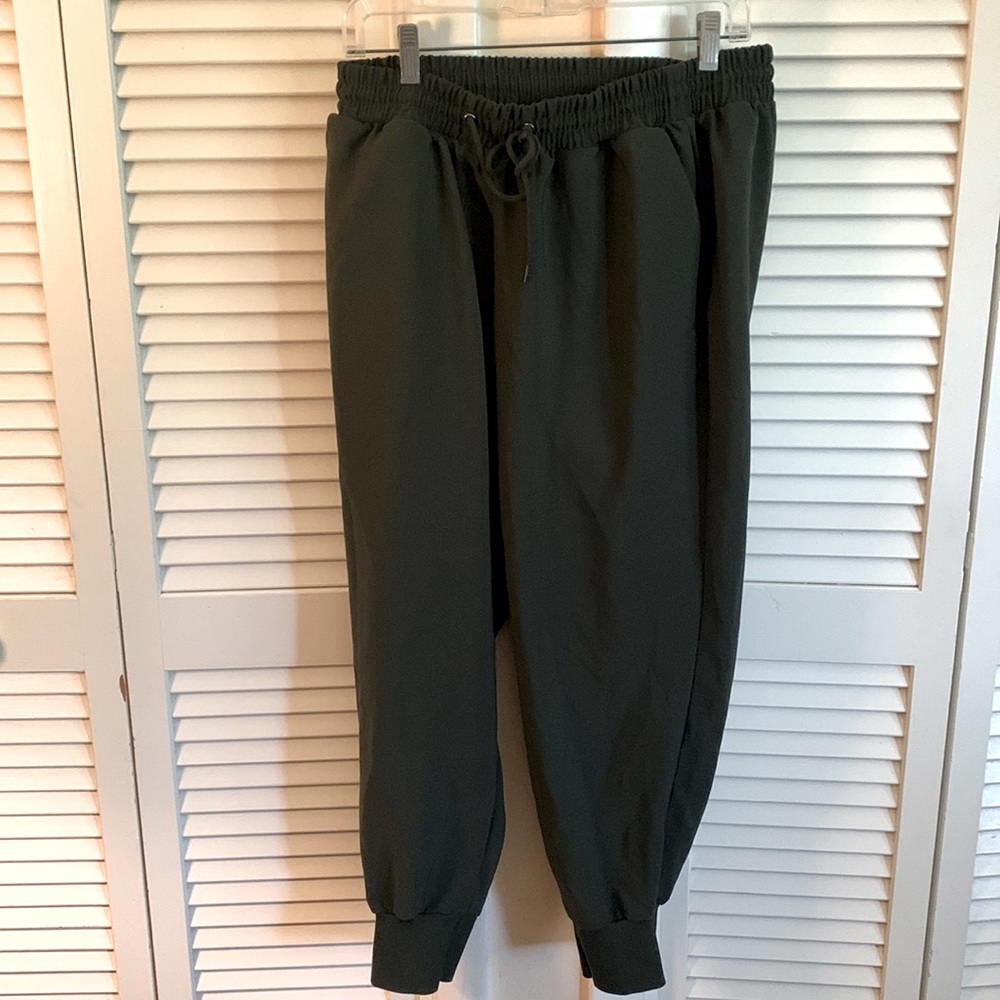 Torrid super soft stretchy pants